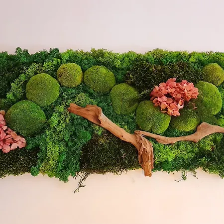 فندق مبيت وإفطار La Culla بادولا