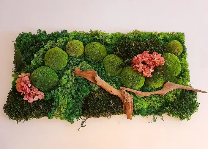 Bed and Breakfast La Culla Padola